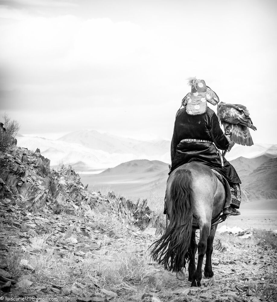 Mongolian Wildlife (2)