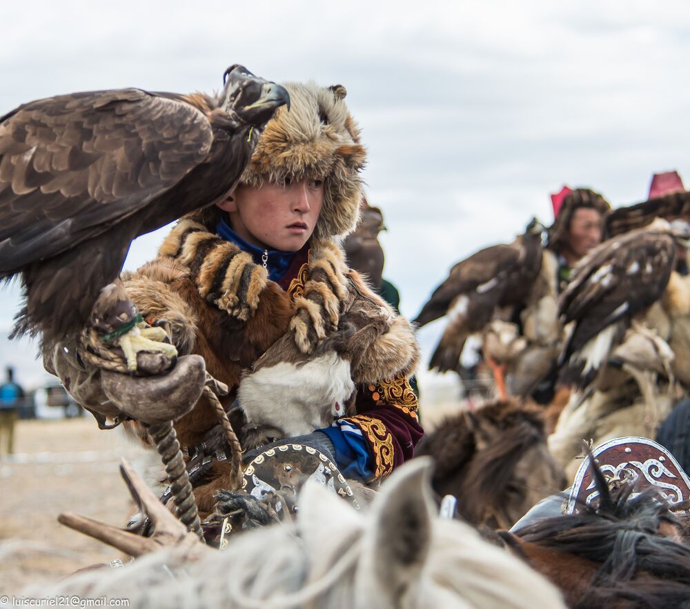 Mongolian Wildlife (5)
