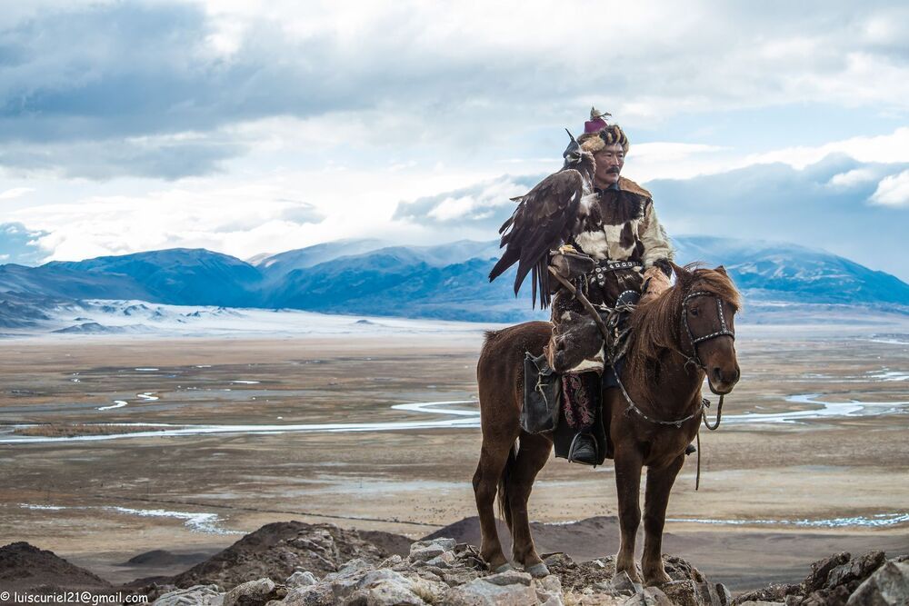 Mongolian Wildlife (6)