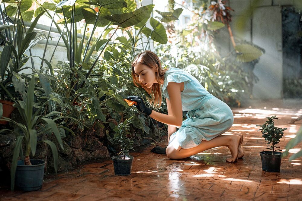 "Worker botanical garden" (3)