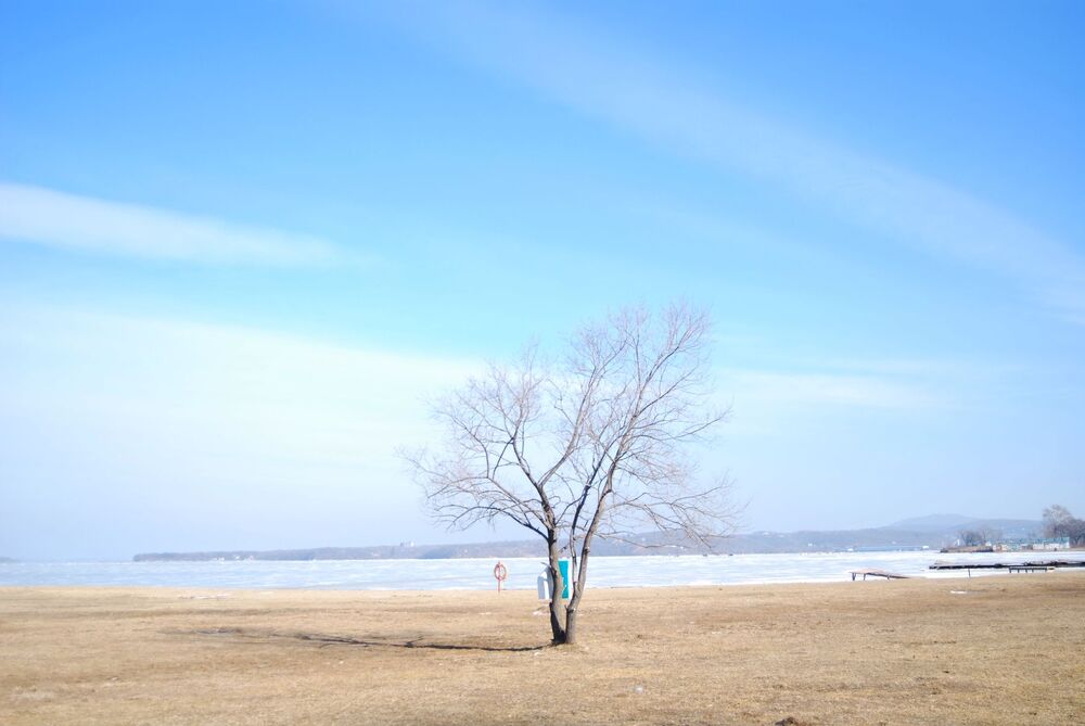 Photo #2222844 (4)