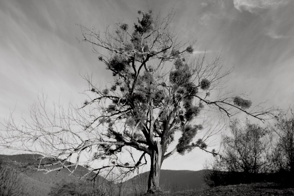 Anukhva...lost in time... (8)