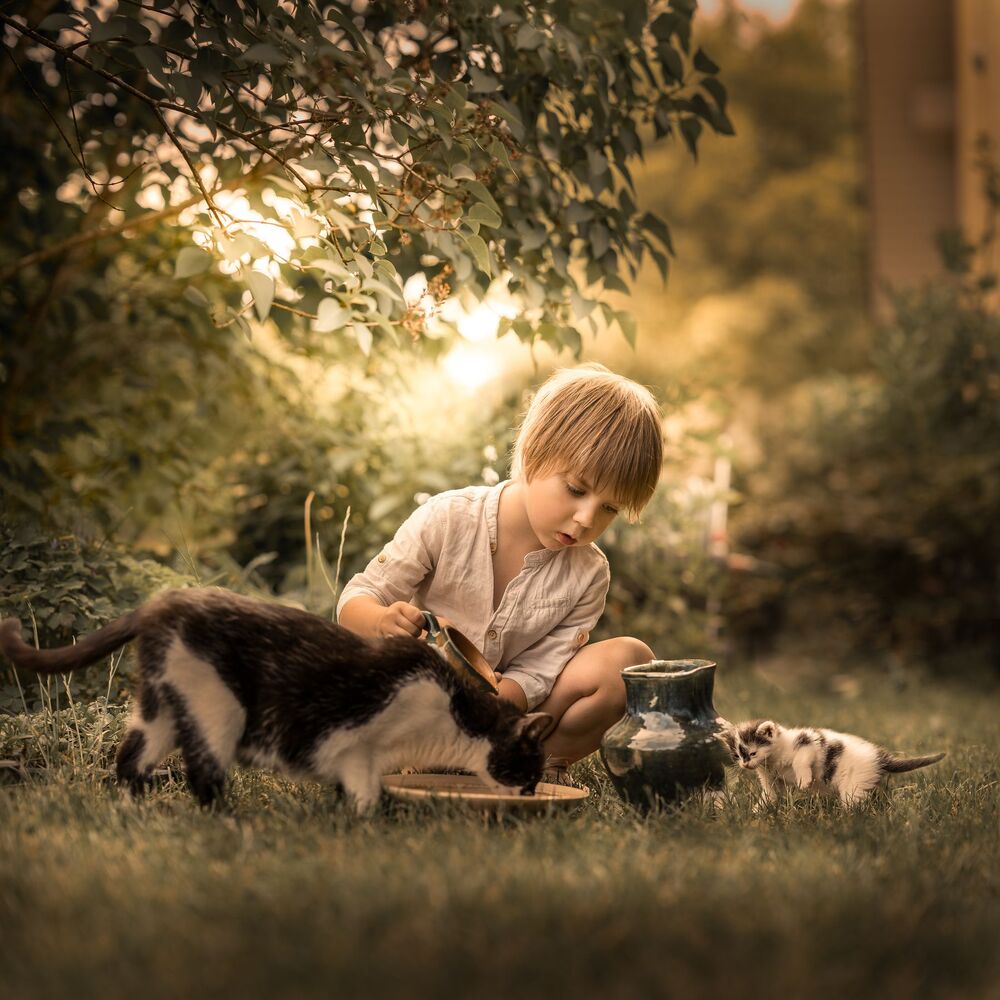 Adam and the cats (2)
