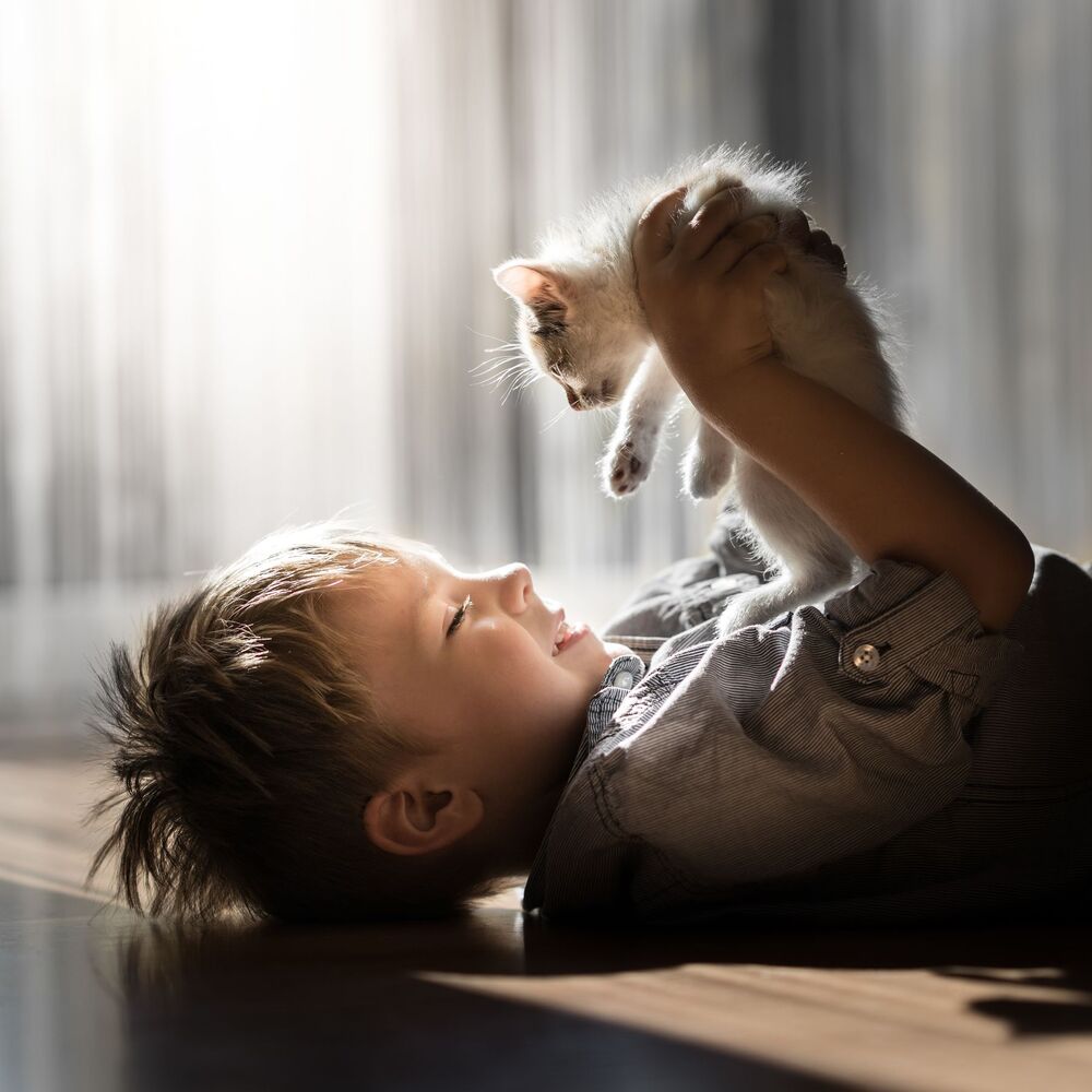 Adam and the cats (4)