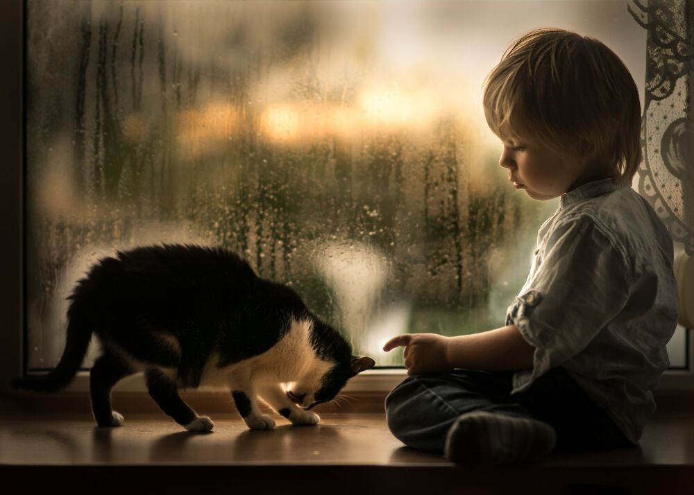 Adam and the cats (5)