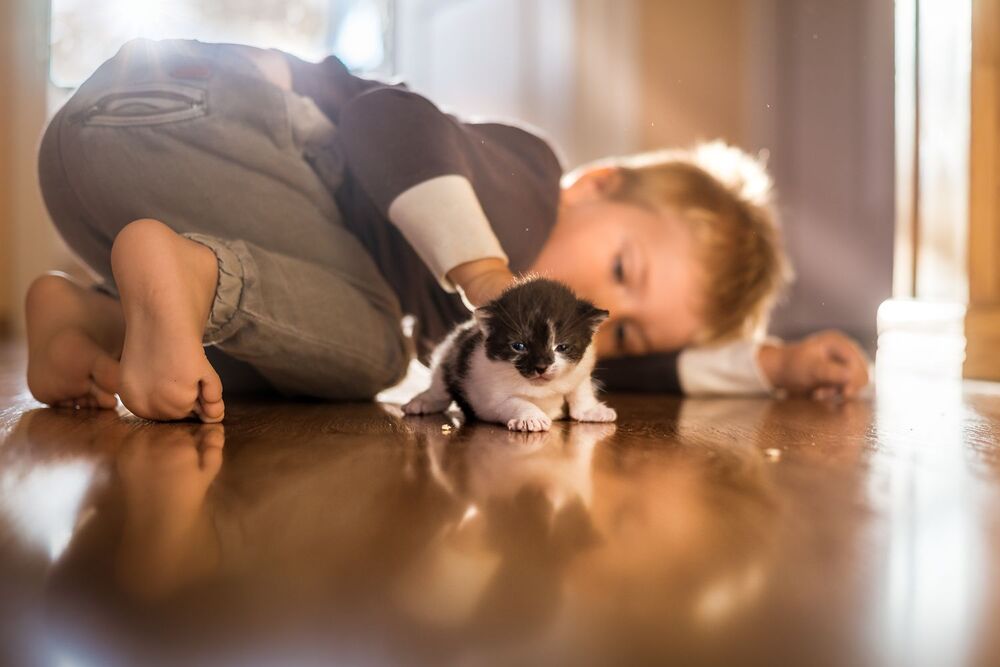 Adam and the cats (6)