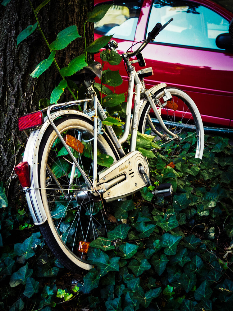 Summer days and bicycles (3)