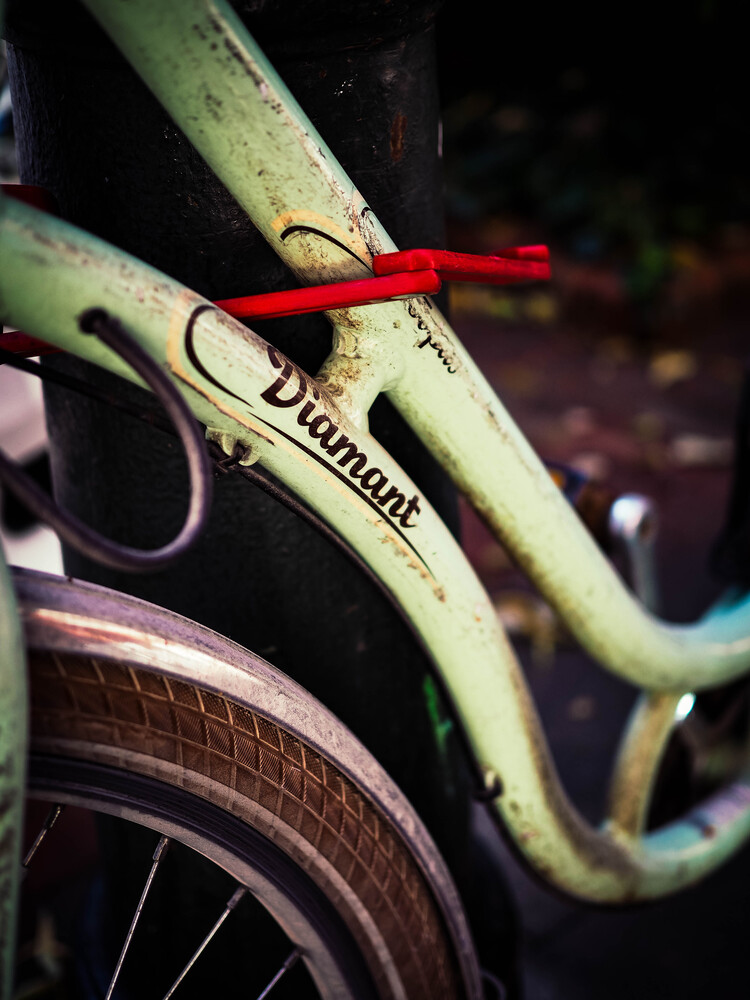 Summer days and bicycles (4)