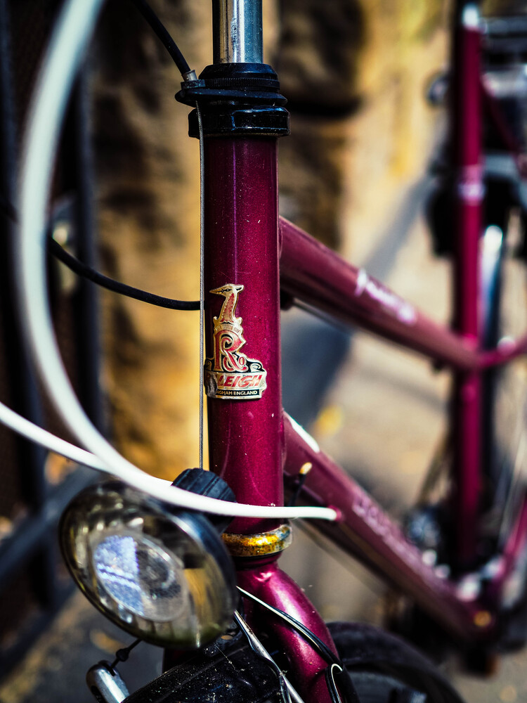 Summer days and bicycles (5)
