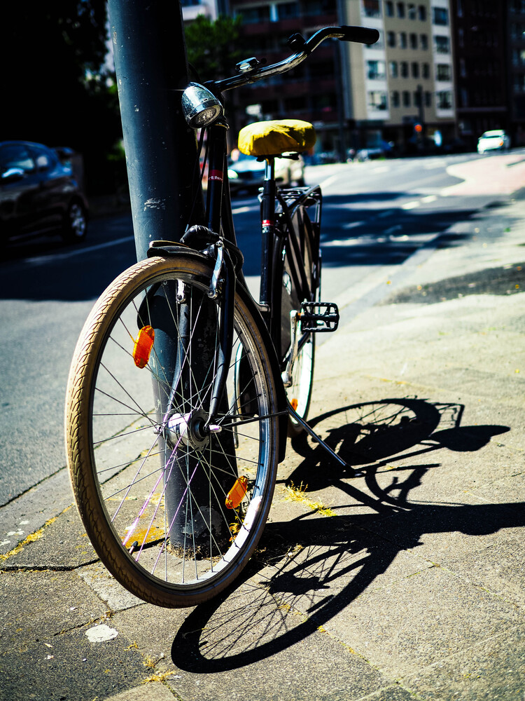 Summer days and bicycles (6)