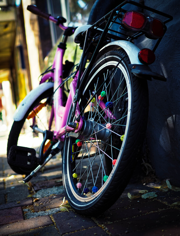 Summer days and bicycles (7)