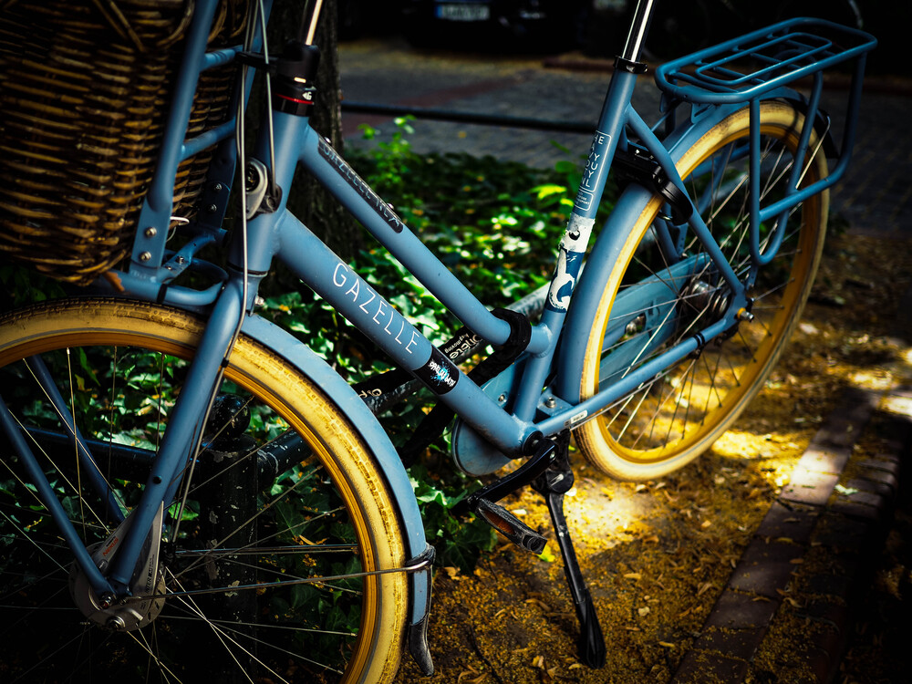 Summer days and bicycles (9)
