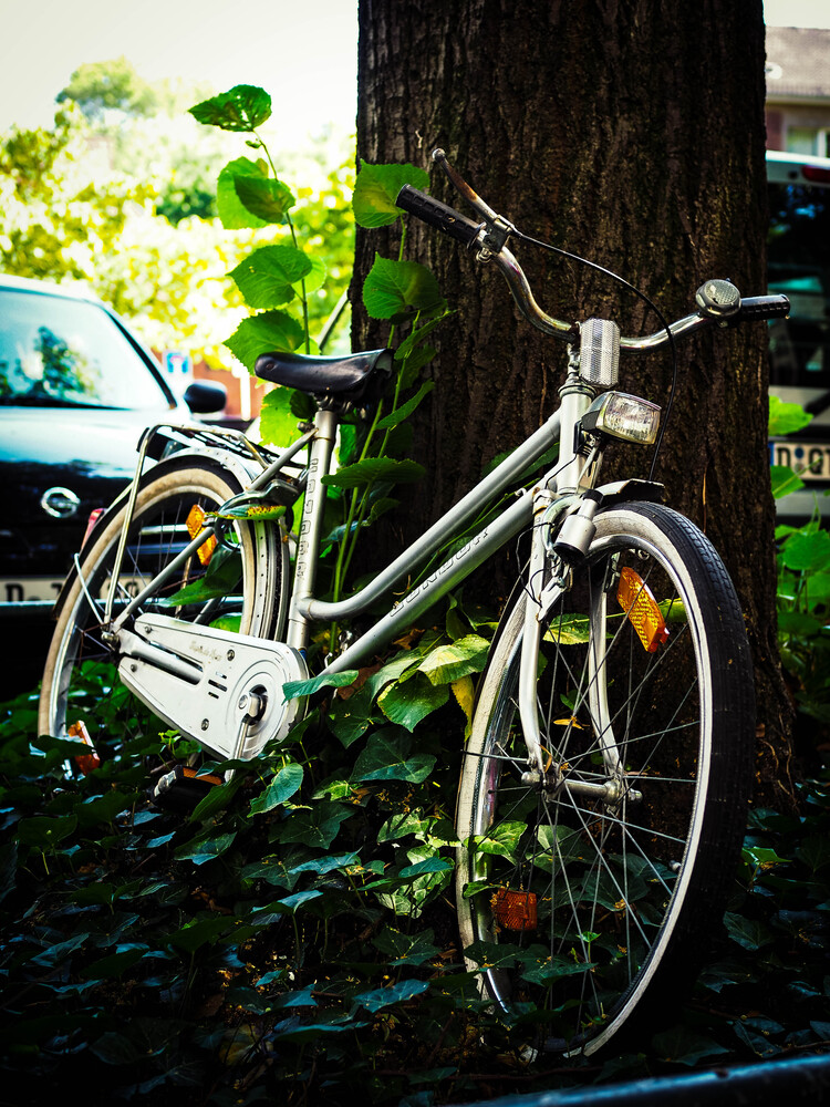Summer days and bicycles (10)