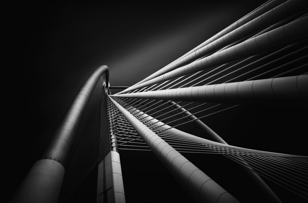 Seri Wawasan Bridge (2)
