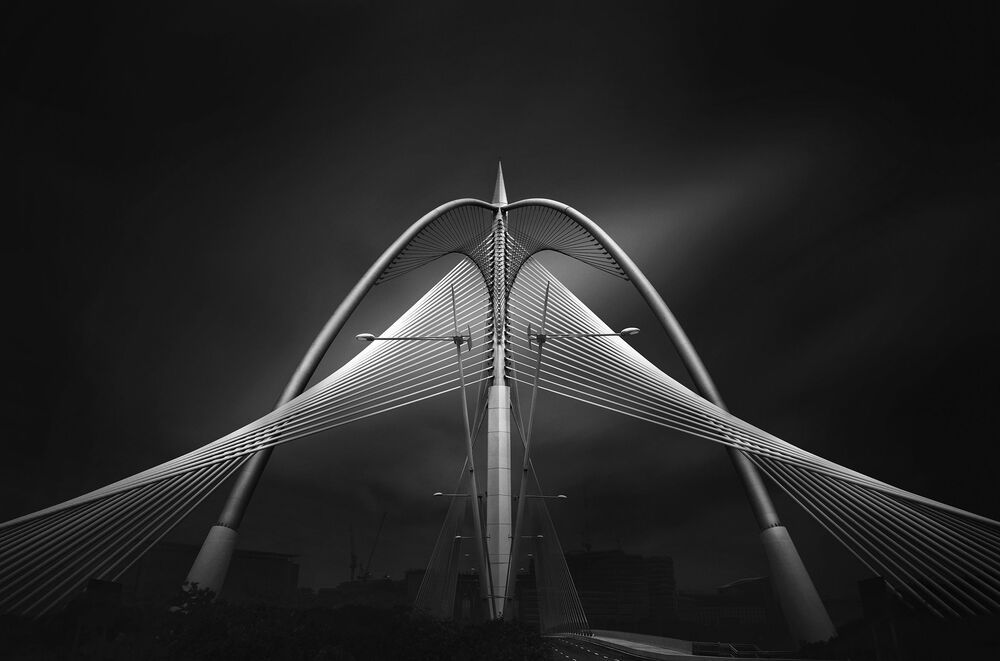 Seri Wawasan Bridge (3)
