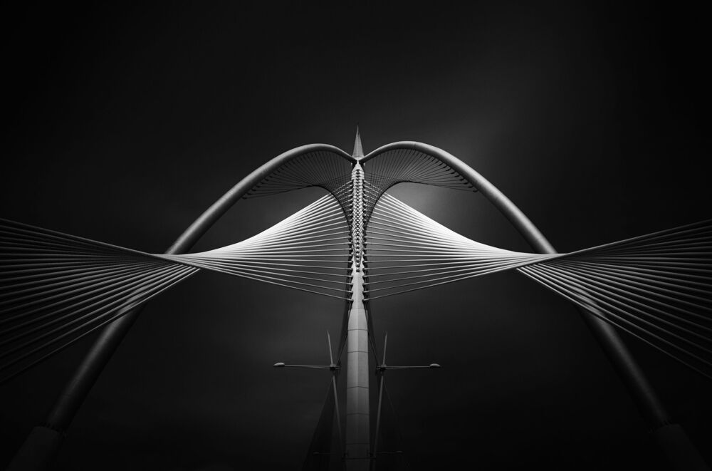 Seri Wawasan Bridge (5)