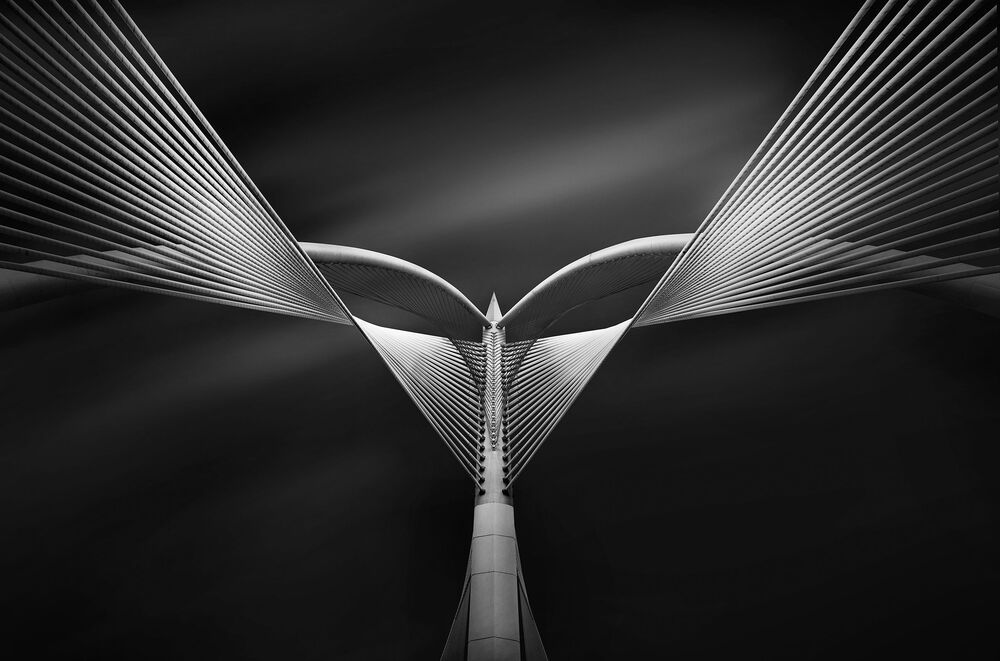 Seri Wawasan Bridge (7)
