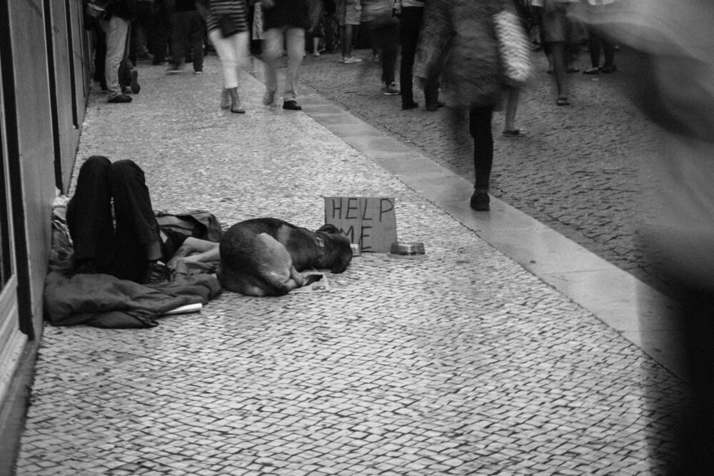Lisbon Today (6)