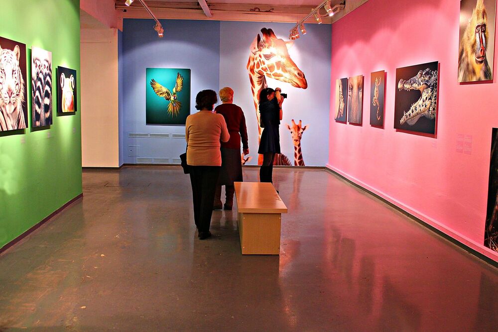 Типология фотовыставки I / Typology of the photo exhibition I (3)