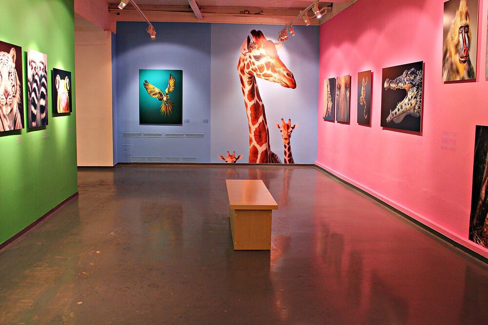 Типология фотовыставки I / Typology of the photo exhibition I (2)