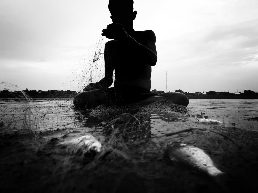 Catch fish (5)