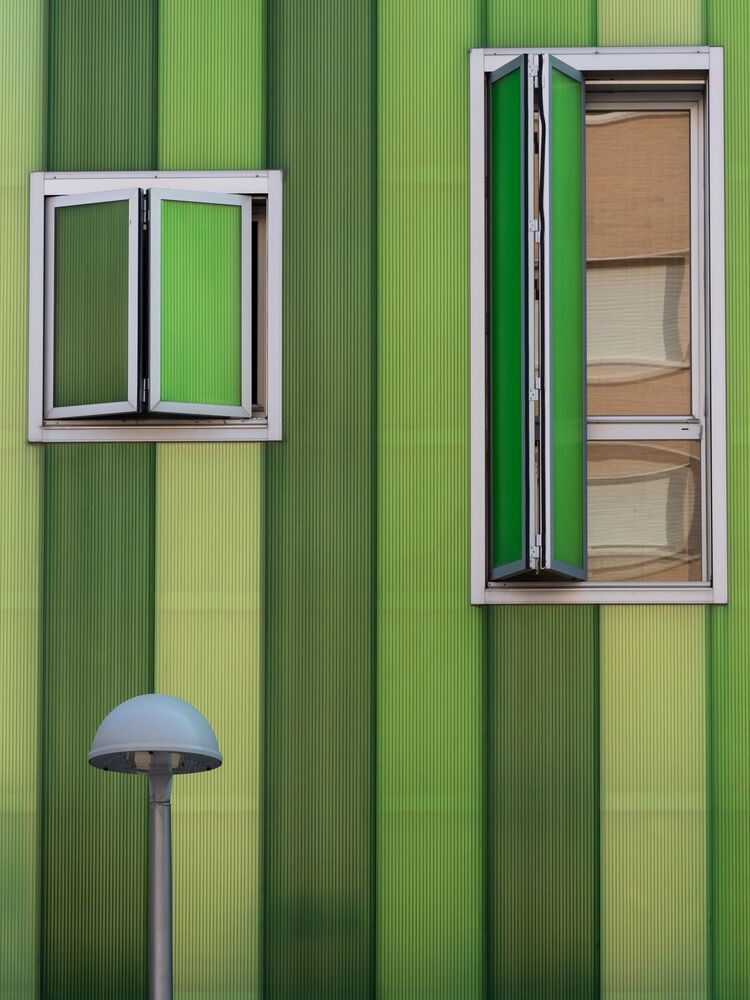 Mystery Of The Green House (3)