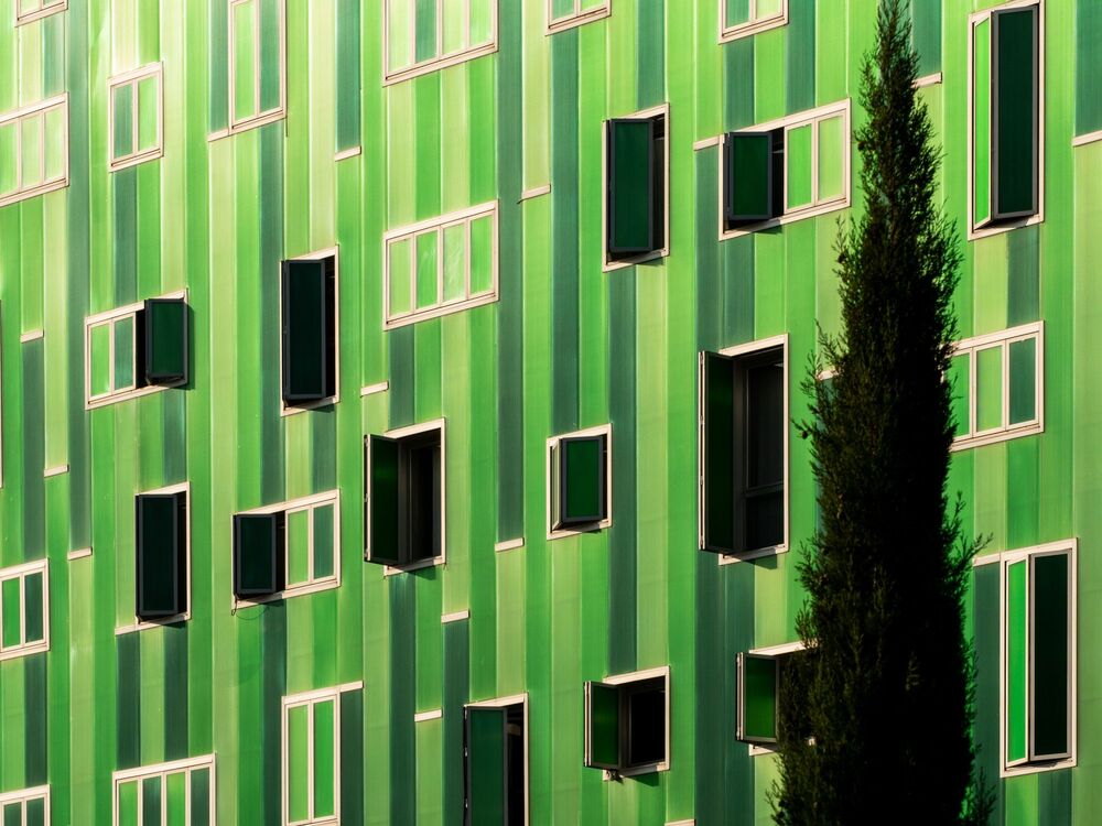 Mystery Of The Green House (4)