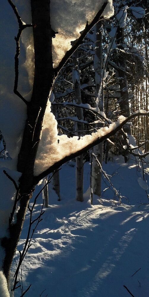Photo #2977754 (3)