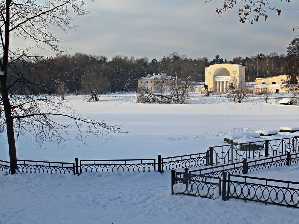 Типология городского парка / Typology of the city park (5)