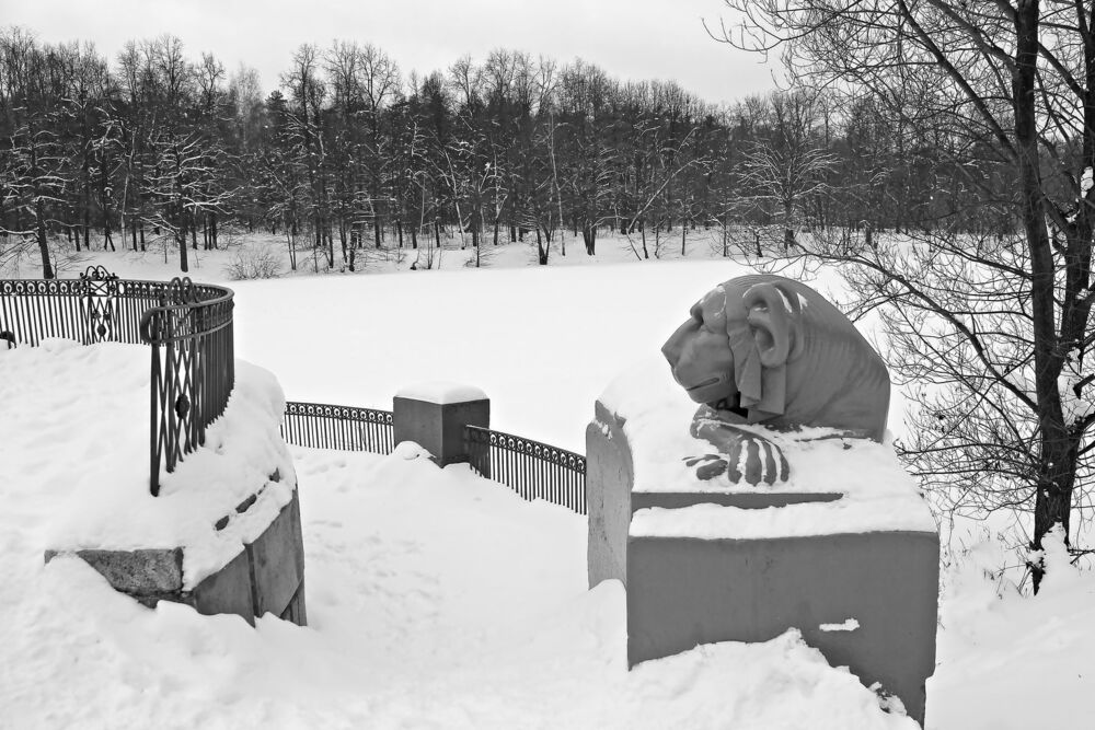 Типология городского парка / Typology of the city park (9)