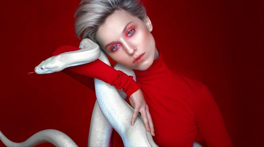 змея (4)