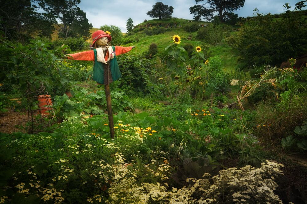 Visiting a fairy tale (10)