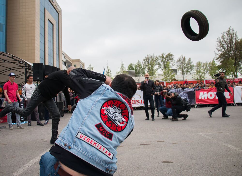 Photo #3056136 (7)