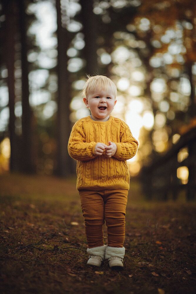 Photo #3062748 (7)