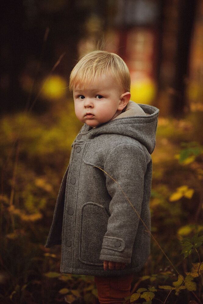 Photo #3062748 (2)