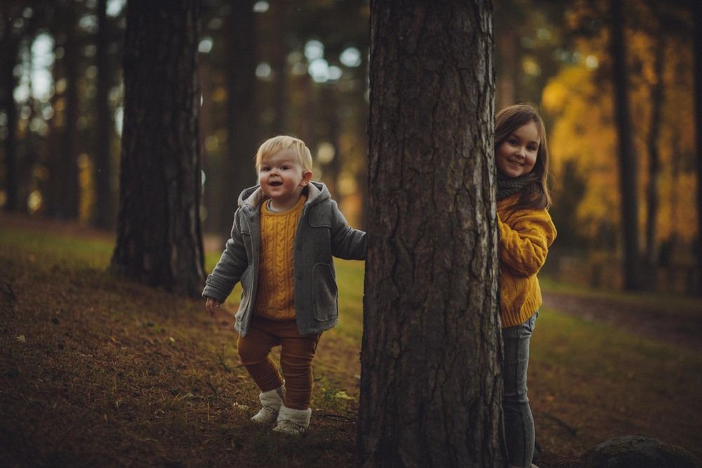 Photo #3062748 (6)