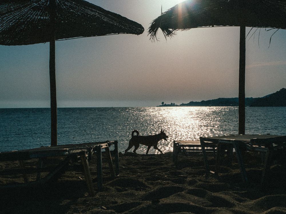 На пляже (2)
