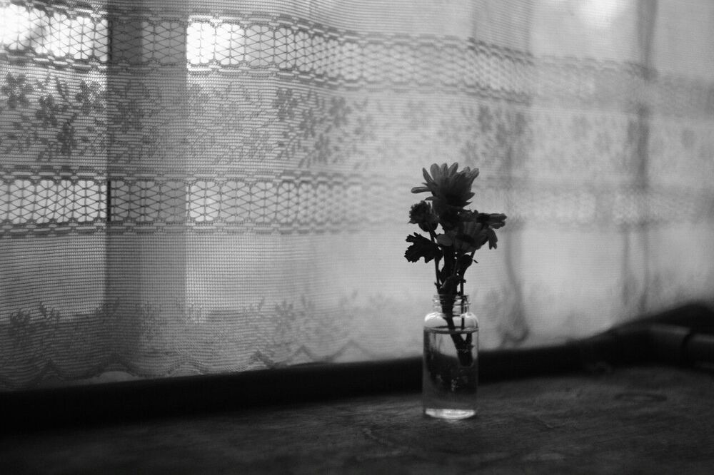 Give Me Flowers While I Can Still Smell Them (4)