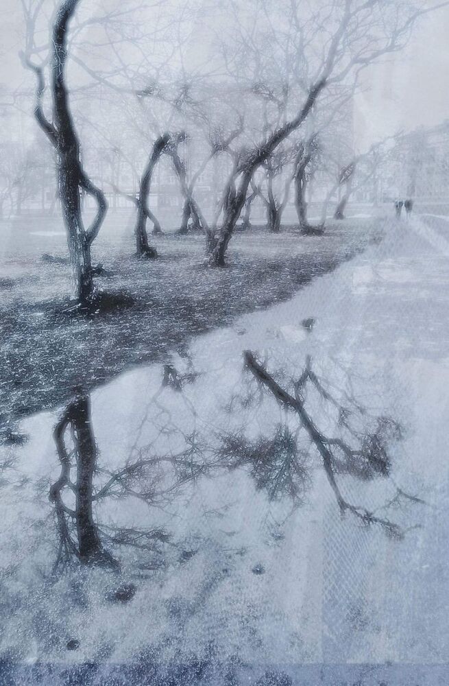 Дороги и тропинки (5)