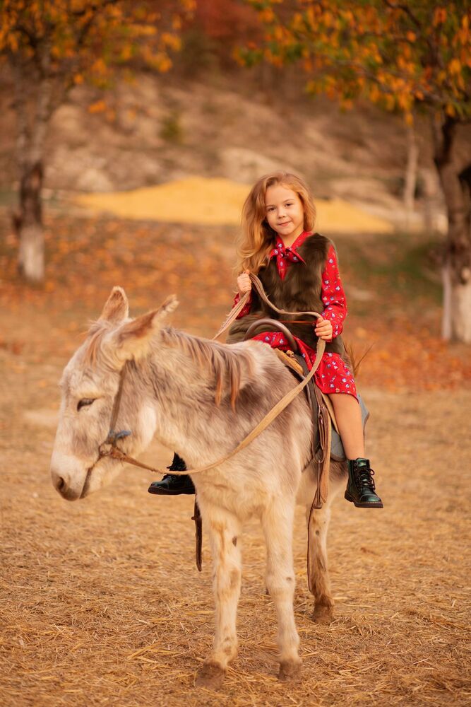Photo #3910359 (6)
