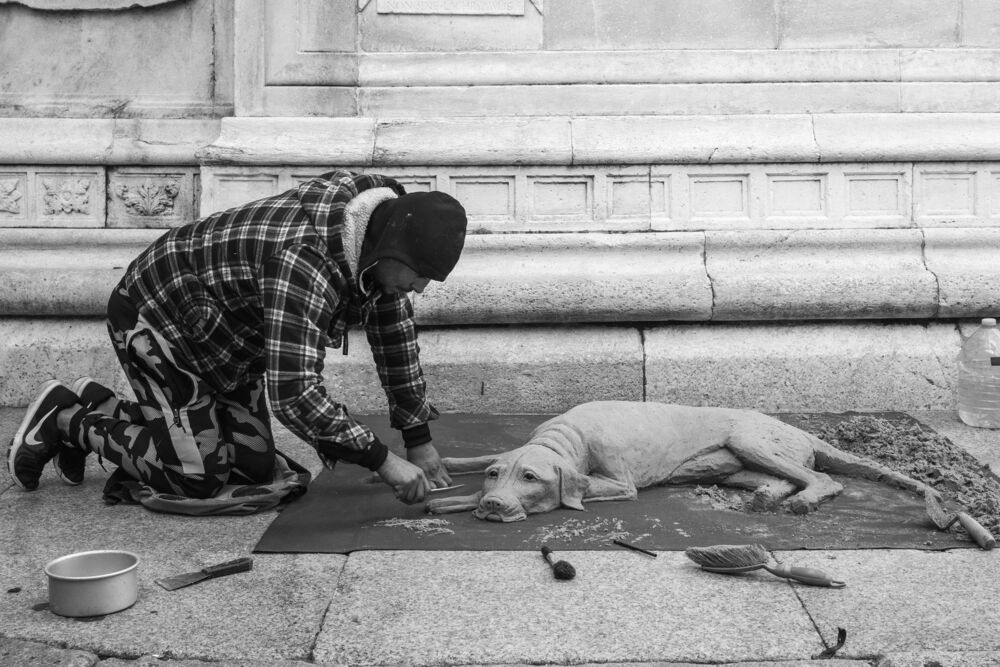 Italian dogs/ Итальянские собачки (6)