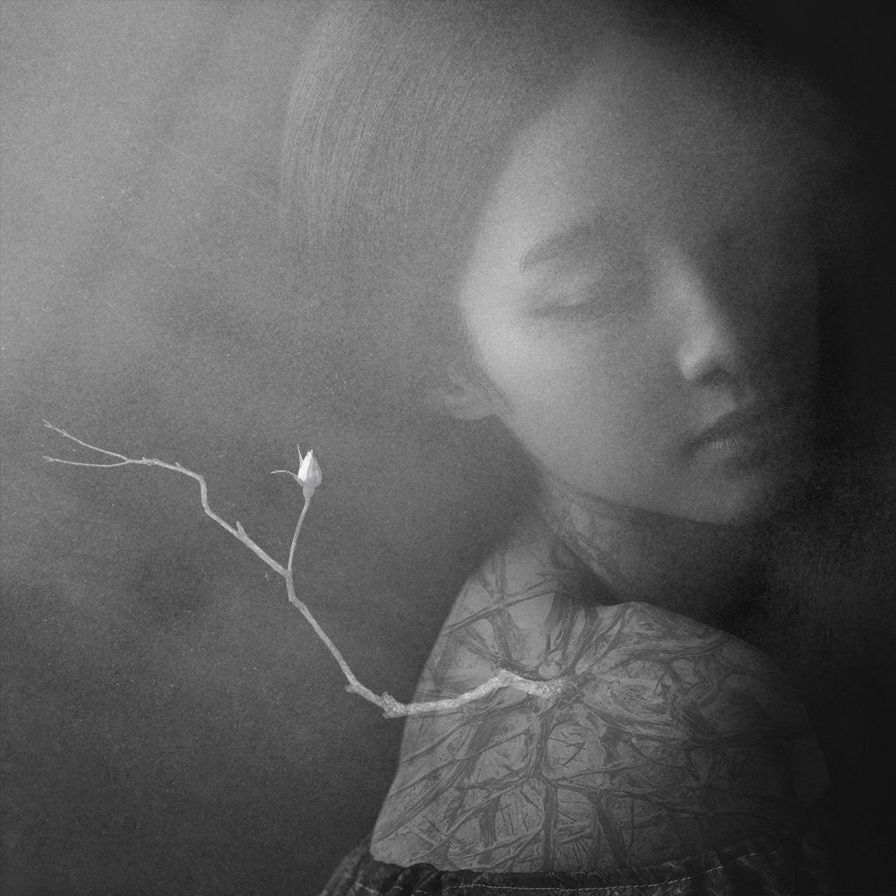 Hua (3)