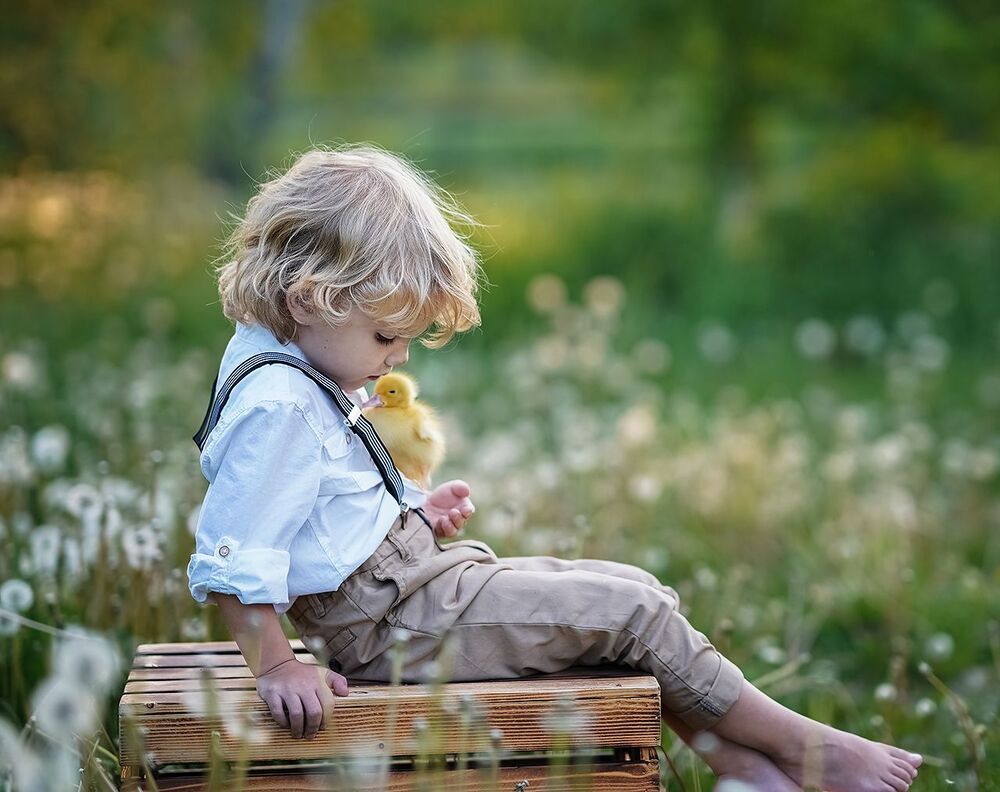 Photo #4152487 (7)