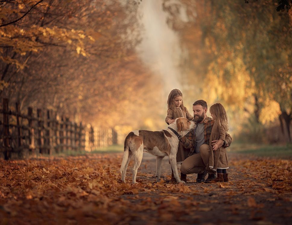 Photo #4268309 (2)