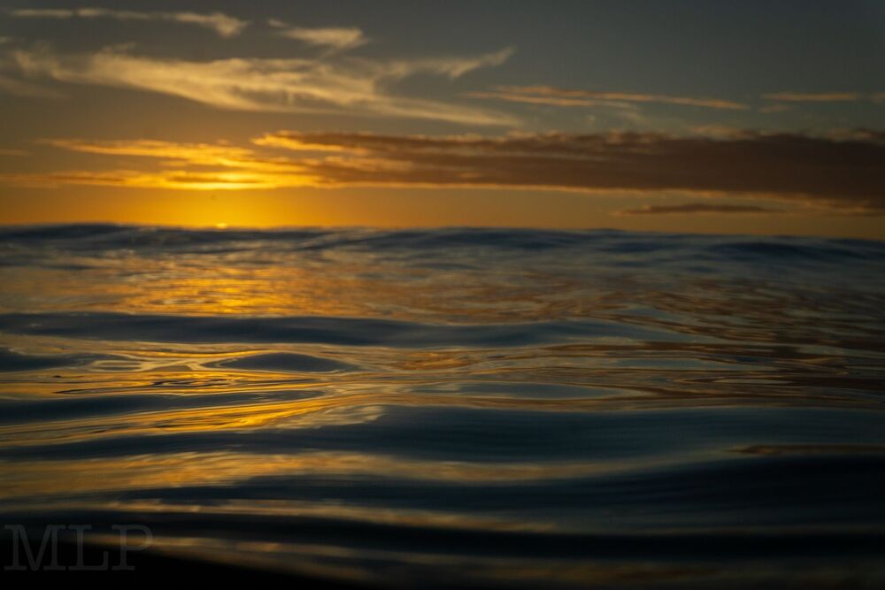 Surf trip (7)