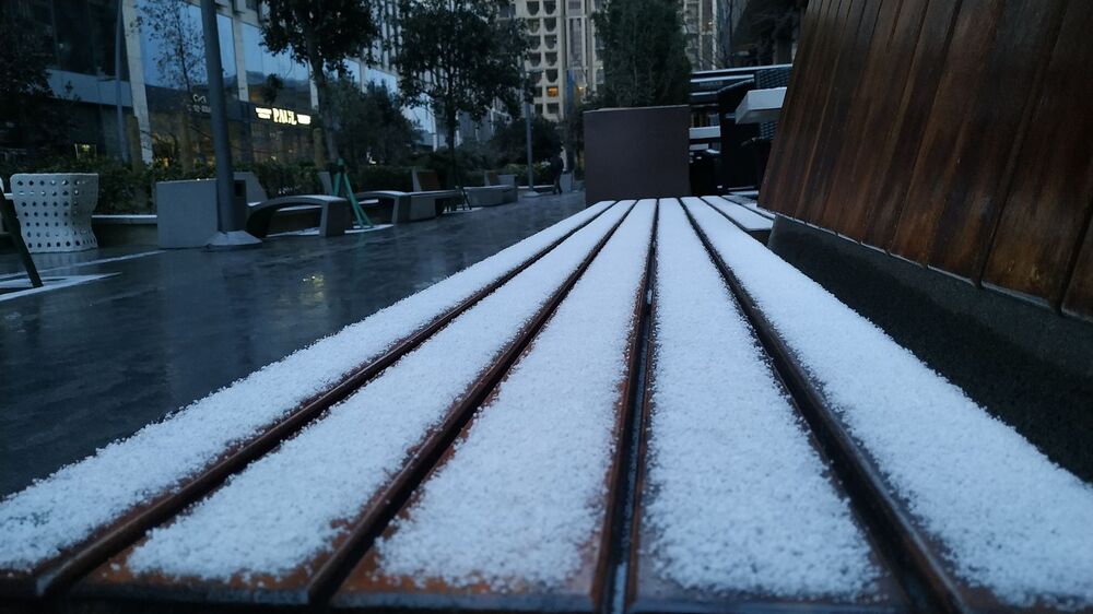 Photo #4293282 (2)