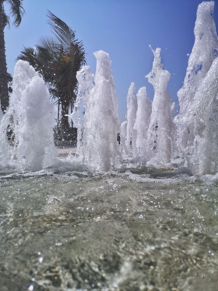 Photo #4294388 (4)