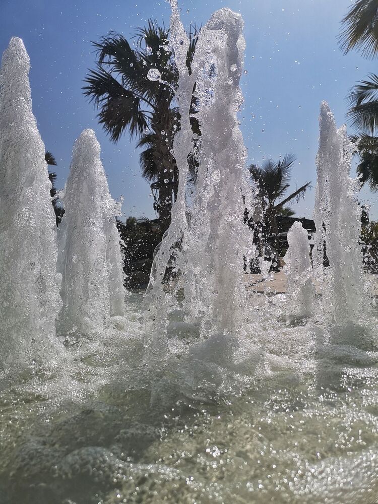 Photo #4294388 (8)