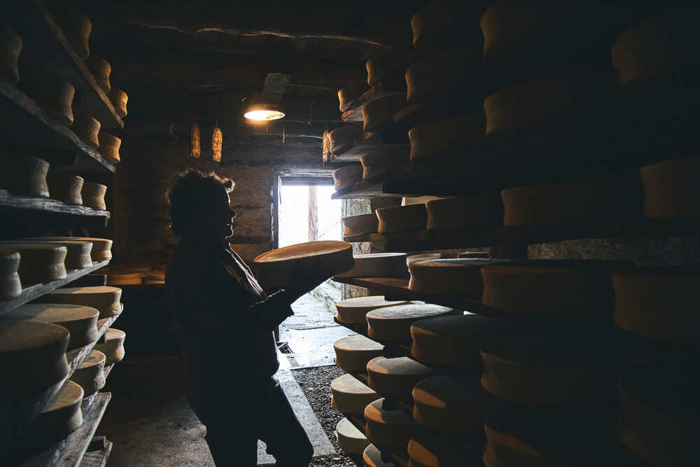 Goat cheese production in the mountains (10)