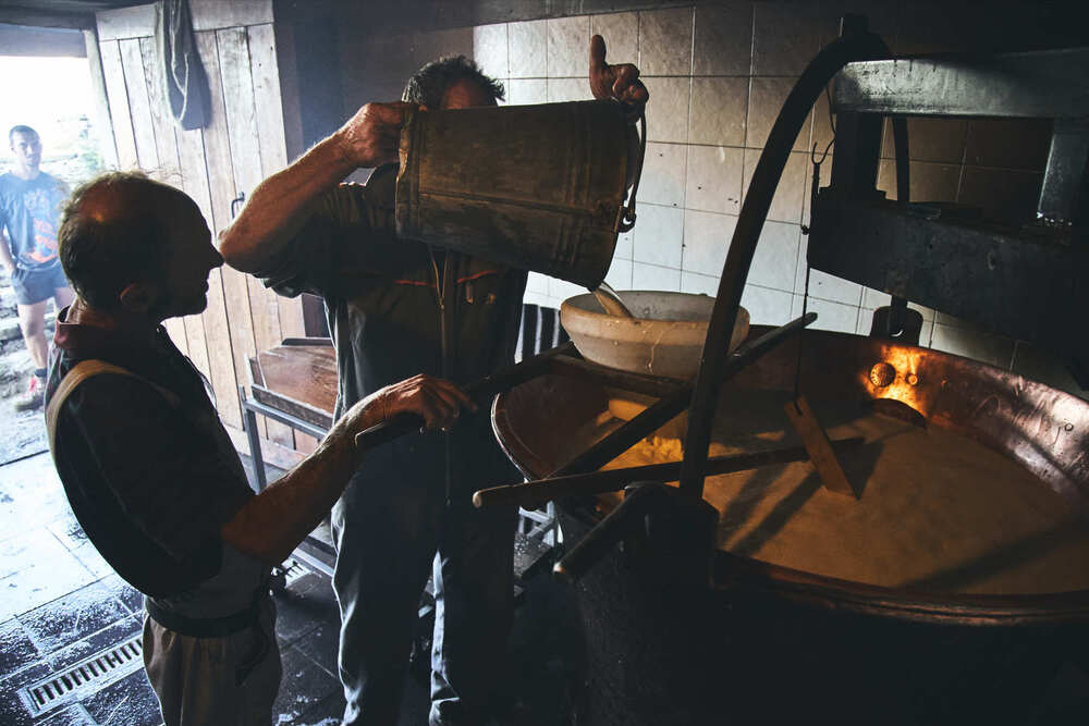 Goat cheese production in the mountains (7)